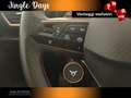 CUPRA Formentor 1.5 e-Hybrid VZ 272 CV DSG Bronzo - thumbnail 13