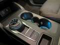 Ford Focus Focus ST-Line Kombi 1.5 EcoBlue 116PS Aut. - thumbnail 21