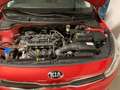 Kia Rio Rio 1,2 MPI Team Austria Edition Team Austria Edition Rot - thumbnail 4