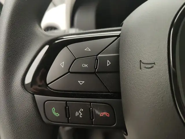 Fiat Panda view 15