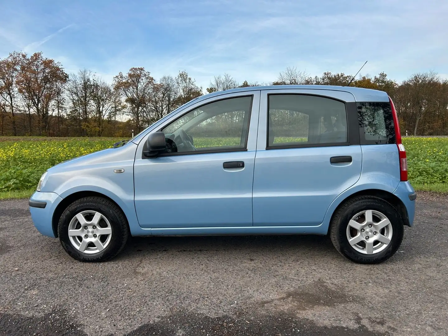 Fiat Panda 1.2 8V Dynamic LPG Klima Radio Allwetter - 2