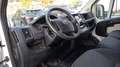 Fiat DUCATO CASSONE FISSO Weiß - thumbnail 11