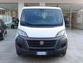 Fiat DUCATO CASSONE FISSO Weiß - thumbnail 1