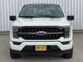 Ford F 150 3.5 V6 Platinum Crew Cab Technology Wit - thumbnail 6