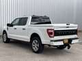 Ford F 150 3.5 V6 Platinum Crew Cab Technology Wit - thumbnail 13