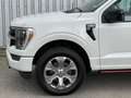 Ford F 150 3.5 V6 Platinum Crew Cab Technology Wit - thumbnail 9