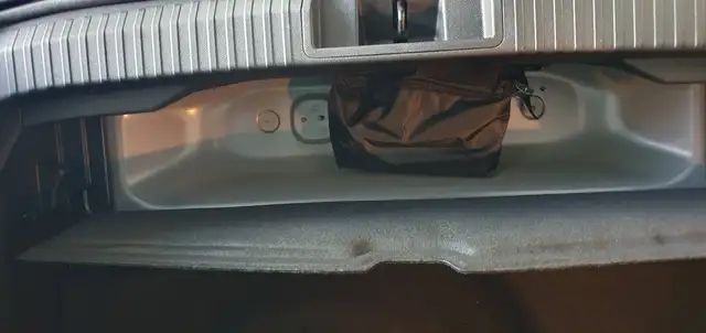 Mitsubishi Grandis view 13