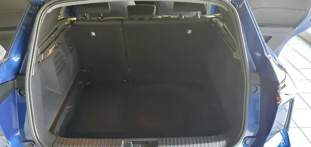 Mitsubishi Grandis view 12
