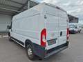 Opel Movano C Kasten HKa L3H2 3,5t Edition*Tüv Neu Weiß - thumbnail 4