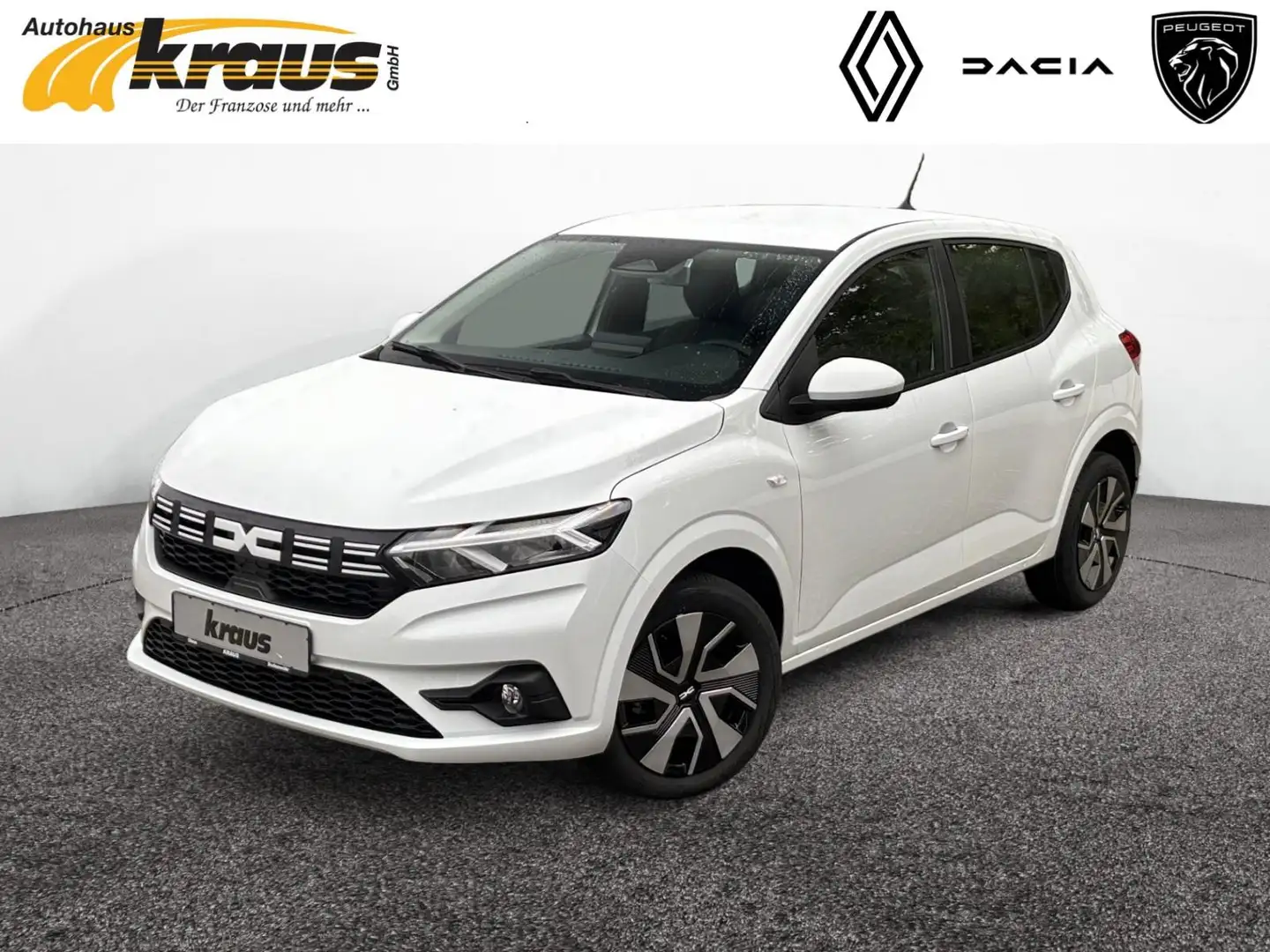 Dacia Sandero Expression Eco-G 100 WINTERRÄDER GRATIS* Weiß - 1