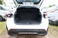 Nissan Juke Hybrid Acenta KomfortP SHZ LED Kam CarP BT 69 k... Weiß - thumbnail 11