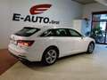 Audi A6 TDI S-tronic *QUATTRO*SPORT-PAKET*ACC*AHK*STHZ*MW Weiß - thumbnail 8