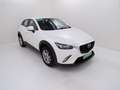 Mazda CX-3 - CX-3 1.5d Evolve 2wd 105cv my17 Bílá - thumbnail 3