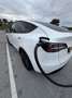 Tesla Model Y Long Range AWD Wit - thumbnail 8