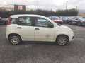 Fiat Panda Panda 0.9 TwinAir Turbo S&S Easy Blanc - thumbnail 5