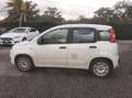 Fiat Panda Panda 0.9 TwinAir Turbo S&S Easy Blanc - thumbnail 4