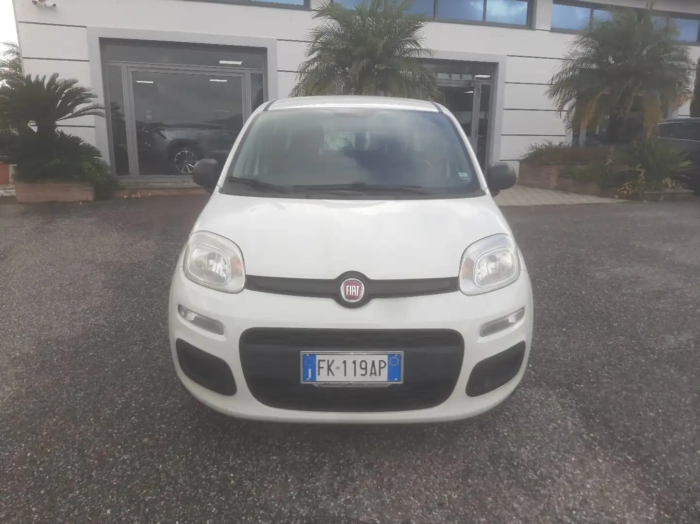 Fiat Panda Panda 0.9 TwinAir Turbo S&S Easy Blanc - 1