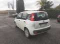 Fiat Panda Panda 0.9 TwinAir Turbo S&S Easy Blanc - thumbnail 7