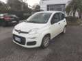 Fiat Panda Panda 0.9 TwinAir Turbo S&S Easy Blanc - thumbnail 2