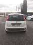 Fiat Panda Panda 0.9 TwinAir Turbo S&S Easy Blanc - thumbnail 8