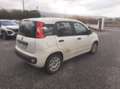 Fiat Panda Panda 0.9 TwinAir Turbo S&S Easy Blanc - thumbnail 6