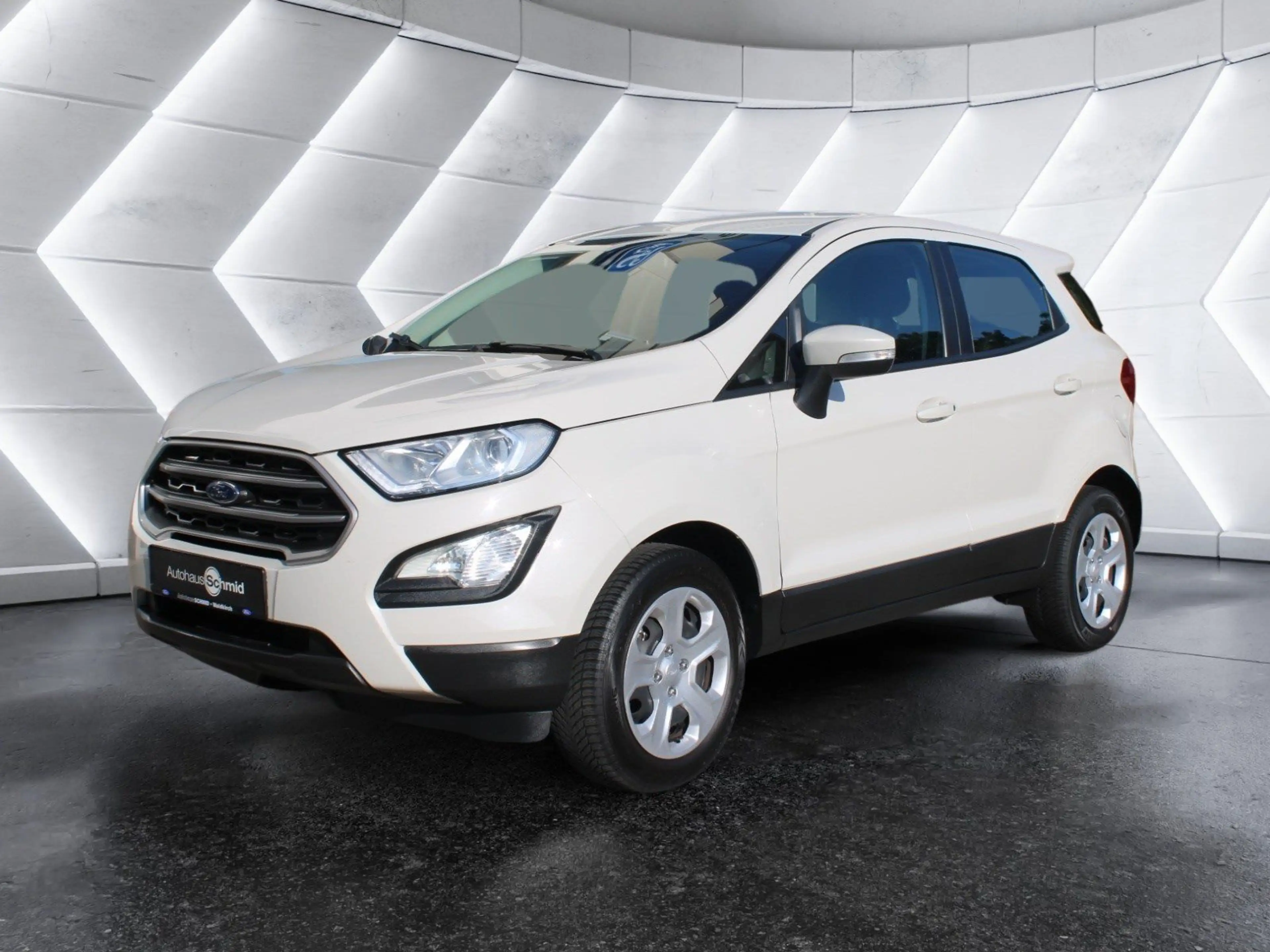 Ford EcoSport Cool & Connect - Winter-Paket