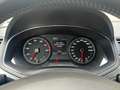 SEAT Ibiza 1.0 TSI FR Business Intense Gris - thumbnail 12