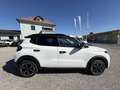 Citroen C3 Hybrid 110 Max Weiß - thumbnail 7