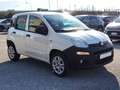 Fiat Panda 0.9 TwinAir Turbo Natural Power 2 POSTI Bianco - thumbnail 4