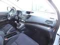 Honda CR-V 2.2i-DTEC Elegance 4x4 Weiß - thumbnail 9