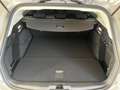 Ford Focus Turnier Titanium 1.0 EcoBoost MHEV Start/Stop L... Silber - thumbnail 20