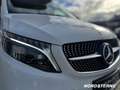 Mercedes-Benz Marco Polo Marco Polo 250 d EDITION +AMG+NIGHT+DISTR.+AIRM. Weiß - thumbnail 11