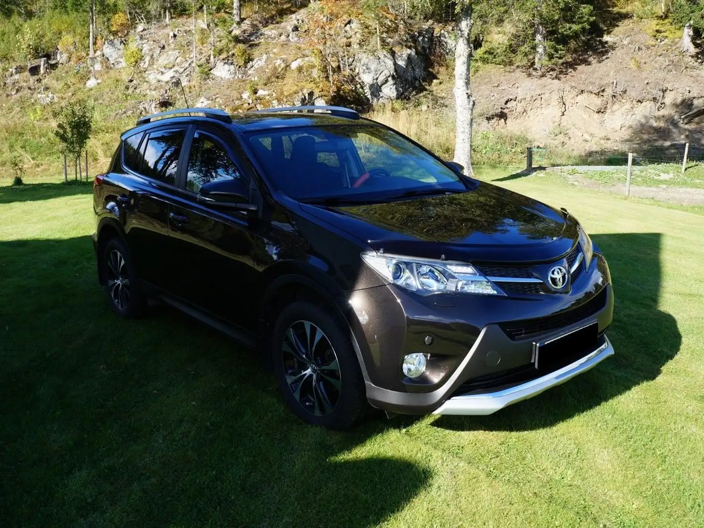 Toyota RAV 4 RAV 4 2.0 D-4D 4x4 Edition Braun - 1