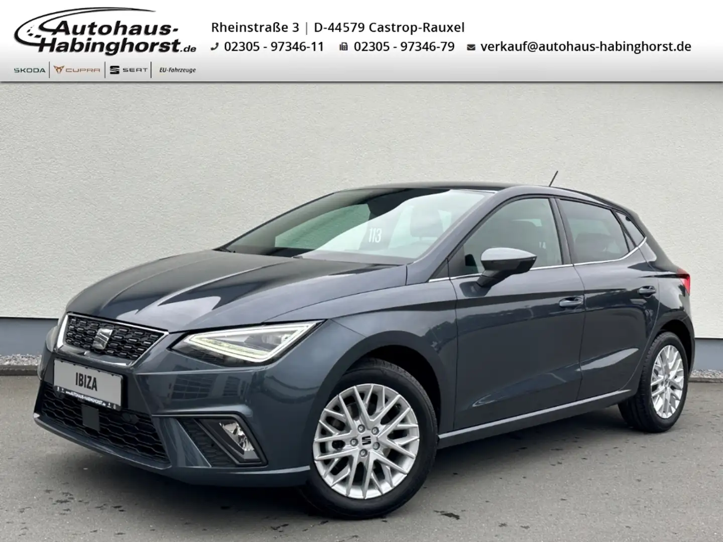 SEAT Ibiza 1.0 TSI Xcellence Kessy Kamera LED Navi Full Link Grau - 1