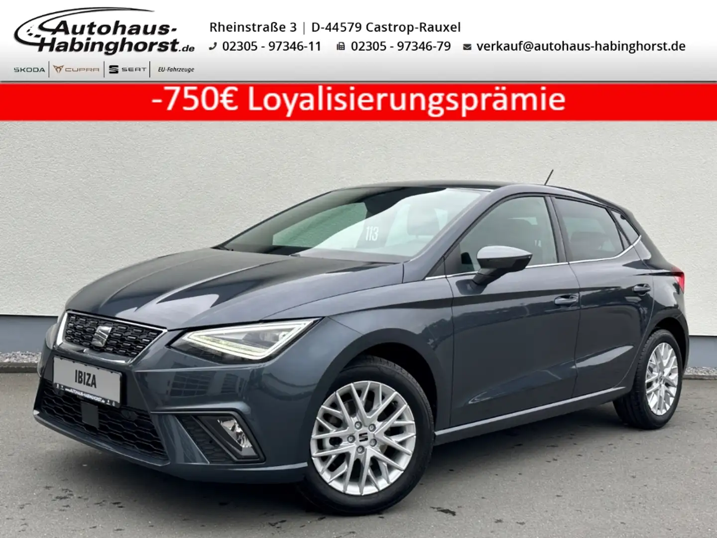 SEAT Ibiza 1.0 TSI Xcellence Kessy Kamera LED Navi Full Link Grau - 1