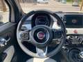 Fiat 500 500 1.2 Star 69cv my20 Bianco - thumbnail 12