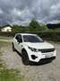 Land Rover Discovery Sport Pure - thumbnail 3