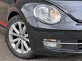 Volkswagen Beetle 1.2 TSI Exclusive Club Pano Cruise Navi Black - thumbnail 9
