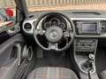 Volkswagen Beetle 1.2 TSI Exclusive Club Pano Cruise Navi Zwart - thumbnail 20