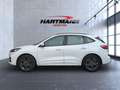 Ford Kuga Hybrid ST-Line Bluetooth Navi Klima Weiß - thumbnail 8