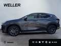 Lexus RX 350 h Luxury Line *Pano*360*HUD*Navi*LED*SHZ* Grau - thumbnail 18