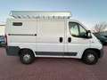 Fiat Ducato 2,0 Kasten L1H1 *NAVI*PDC+Cam*1-HAND*AHK Blanco - thumbnail 11