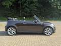 MINI Cooper D Cabrio Cooper D Klima/Navi/ PDC/6GangSG Bruin - thumbnail 6