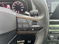 CUPRA Ateca VZ 2.0 TSI 4Drive DSG *Pano*Beats*el Heck* Gris - thumbnail 26