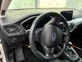 Ford Focus Focus 1,0 EcoBoost Cool Weiß - thumbnail 8