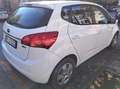 Kia Venga Venga 1.4 Active eco Gpl E6 Bianco - thumbnail 3