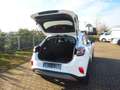Ford Puma 125PS Titanium Hybrid Navi PDC Weiß - thumbnail 10