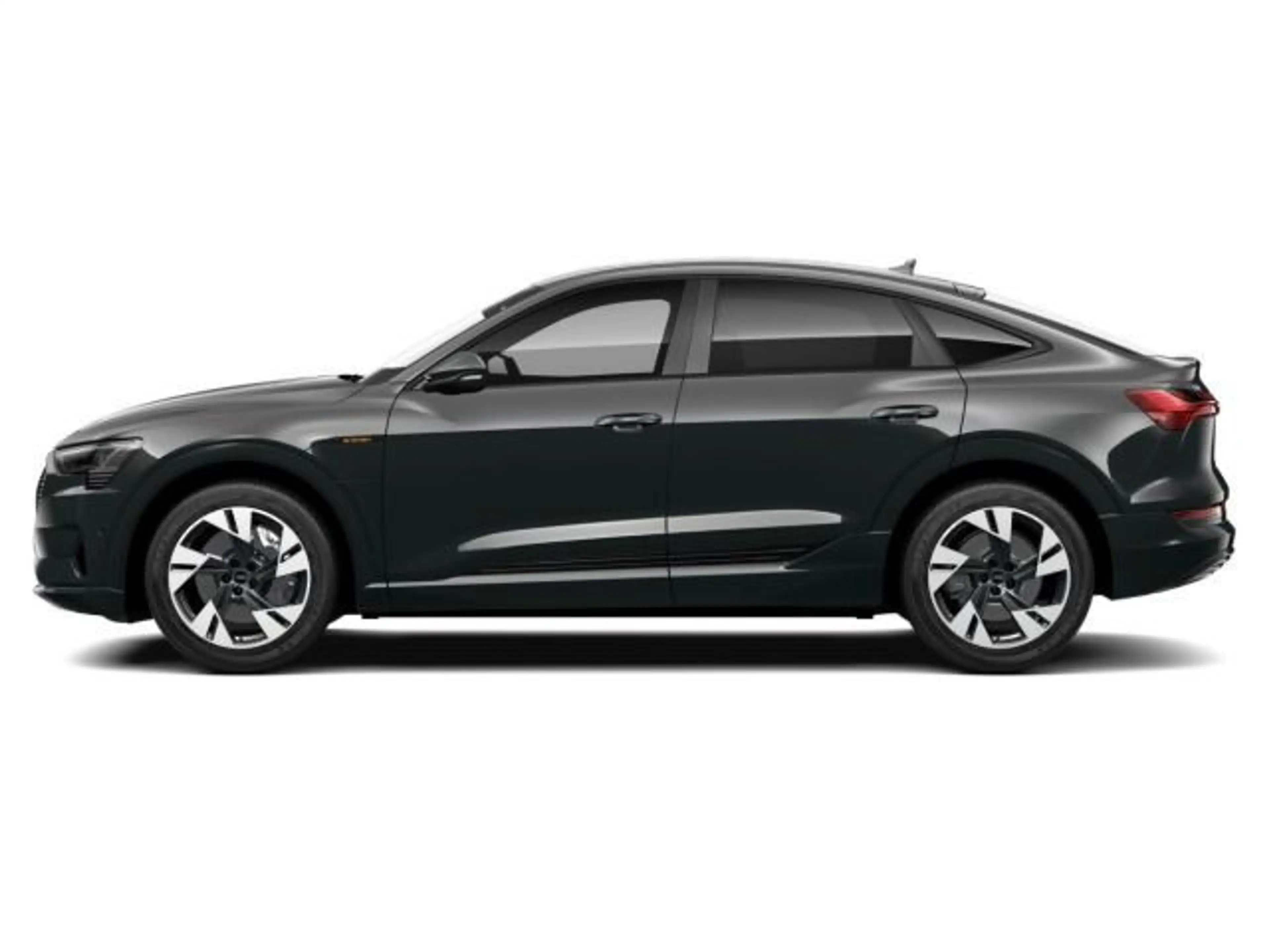 Audi e-tron advanced 50 quattro ACC*HUD — photo 4