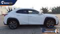 Lexus UX 250h UX Hybrid F Sport Bianco - thumbnail 7