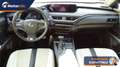 Lexus UX 250h UX Hybrid F Sport Bianco - thumbnail 9